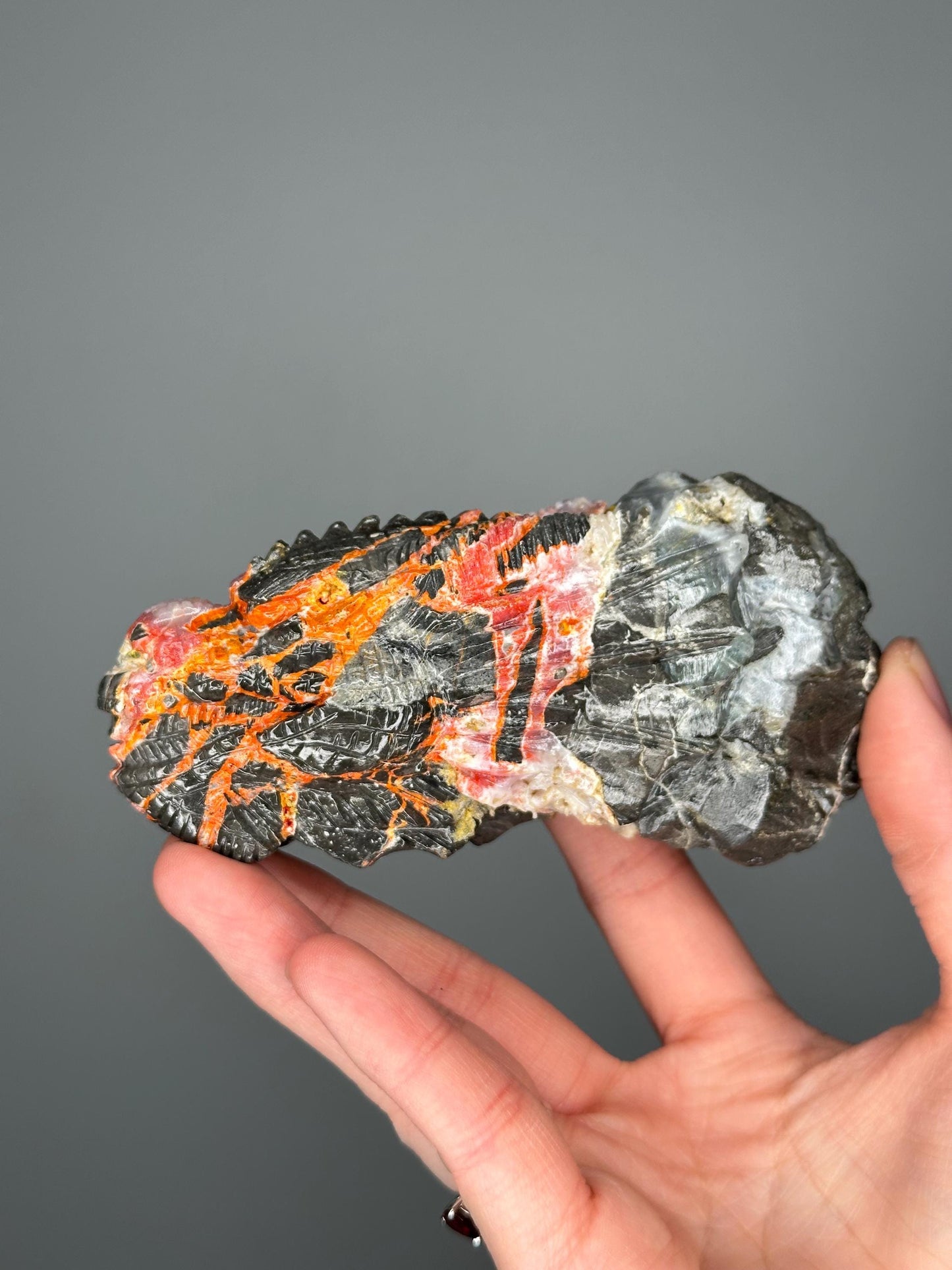 Master Carved Magma Chalcedony Dragon | Fiery Swirls & Smoky Depths | Bold Crystal Statement for Display or Collector Shelf