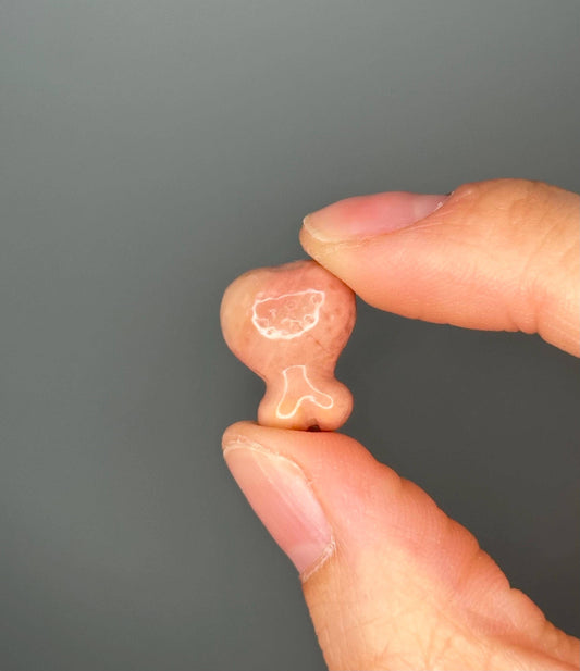 Fried Chicken Drumstick Carving Alashan Agate | Whimsical Crystal Sculpture with Swirls & Warm Tones | Unique Gift or Display Accent