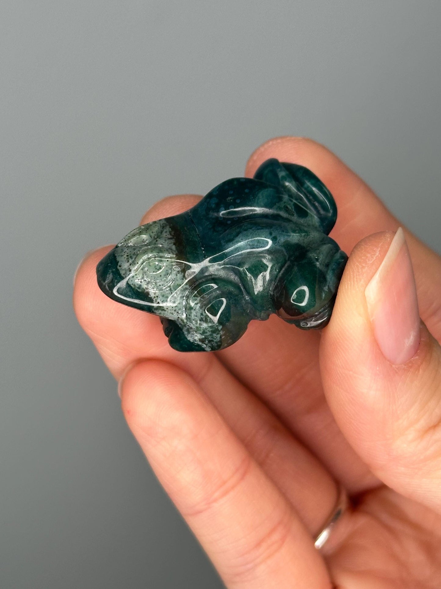 Sea Jasper Frog Carving | Earth-Toned Crystal Animal for Joy, Flow & Grounding | Sea Jasper | Gemstone Figurine for Gift or Decor