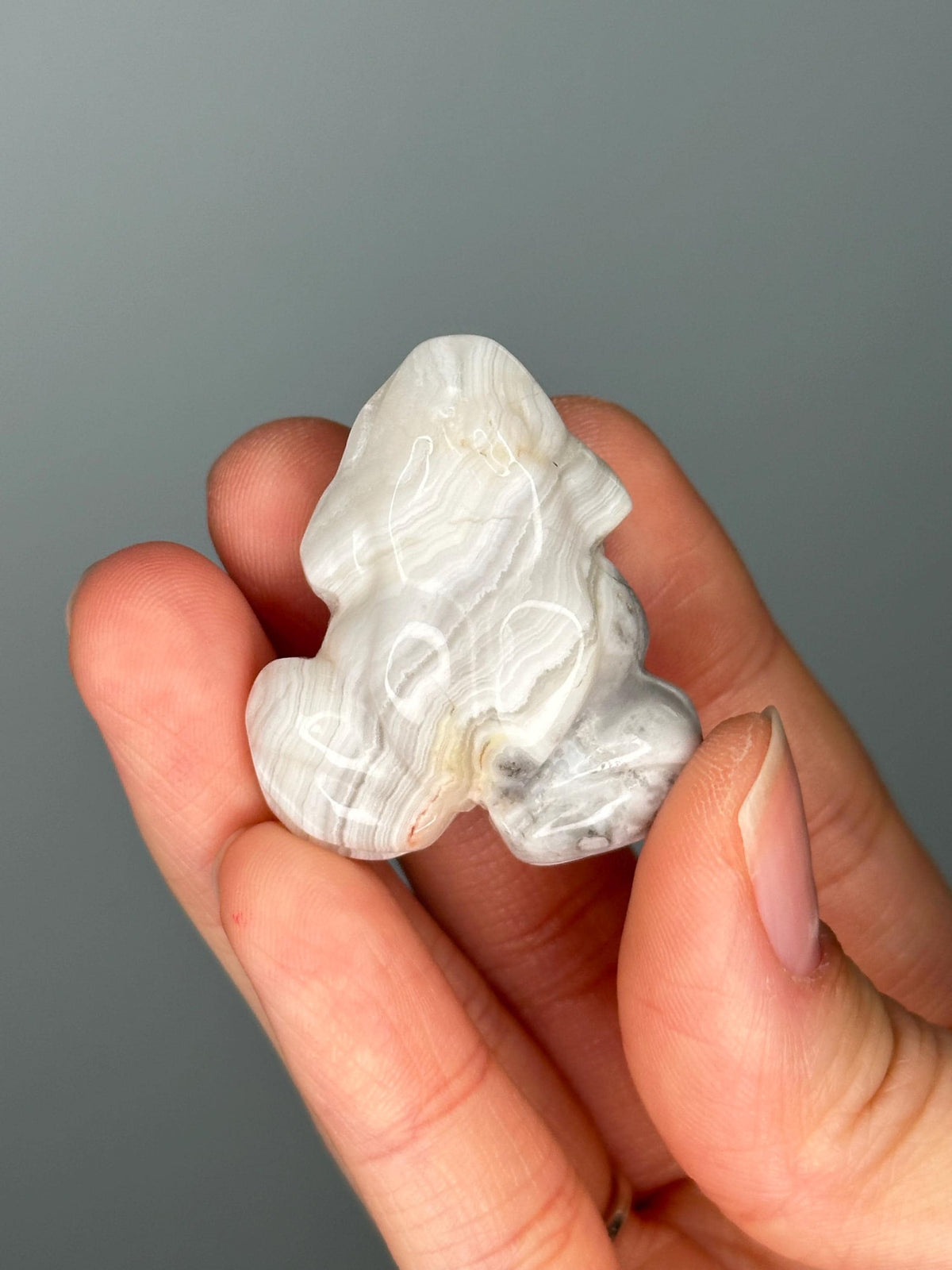 Crazy Lace Agate Frog Carving | Swirled Crystal Animal for Joy, Resilience & Focus | Hand-Carved Gemstone Figurine for Gift or Decor