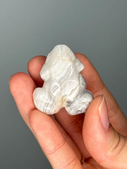 Crazy Lace Agate Frog Carving | Swirled Crystal Animal for Joy, Resilience & Focus | Hand-Carved Gemstone Figurine for Gift or Decor