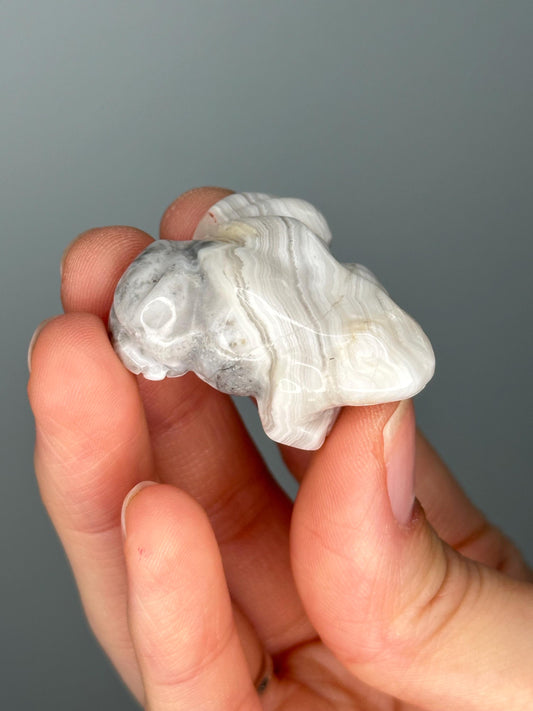 Crazy Lace Agate Frog Carving