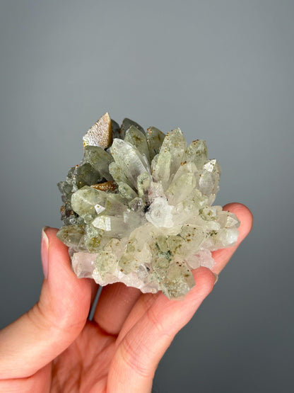 Quartz Cluster with Chlorite and Iridescent Dogtooth Points | Bulgaria Crystal for Clarity & Energy | Collector Mineral Specimen