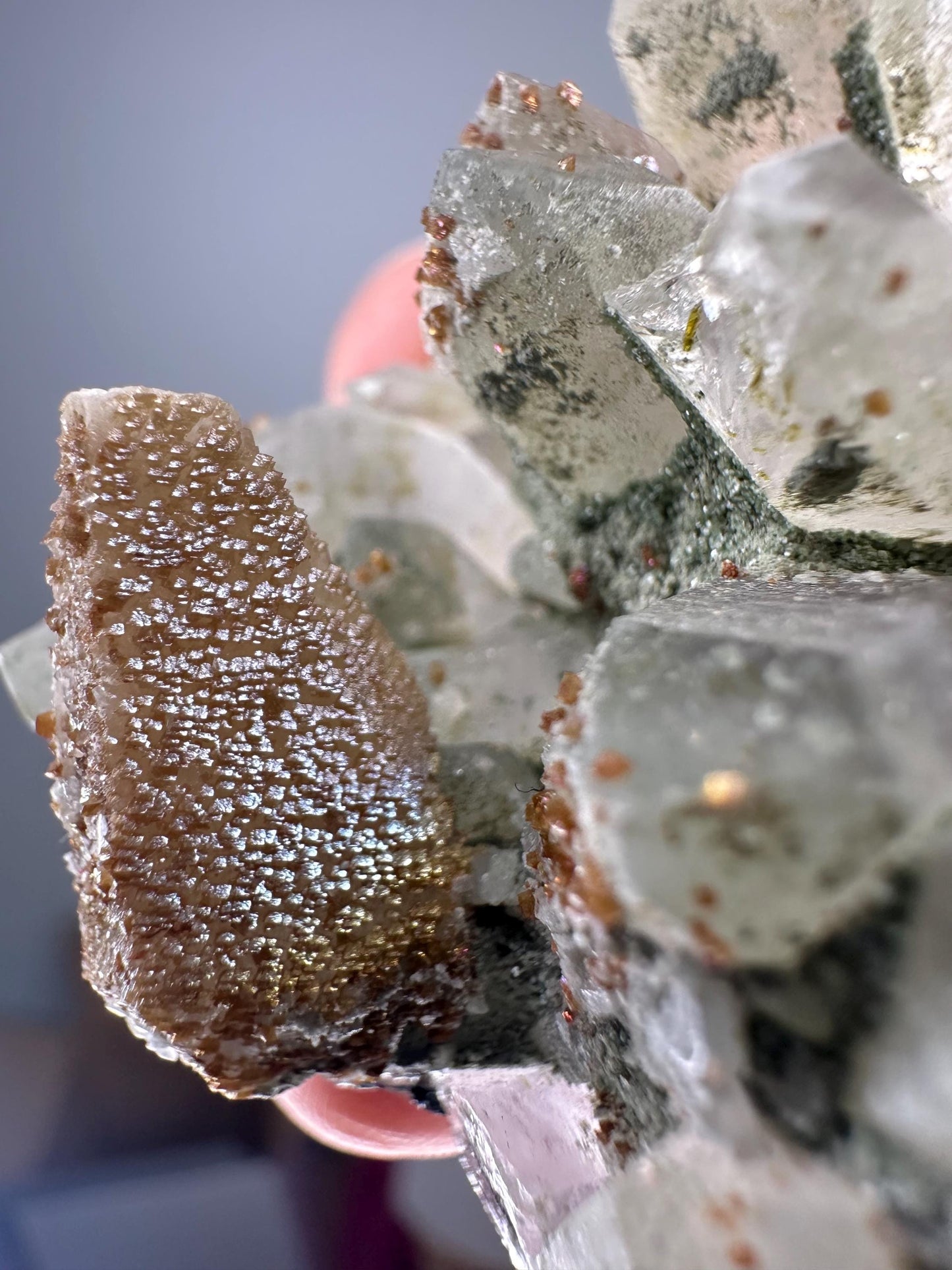 Quartz Cluster with Chlorite and Iridescent Dogtooth Points | Bulgaria Crystal for Clarity & Energy | Collector Mineral Specimen