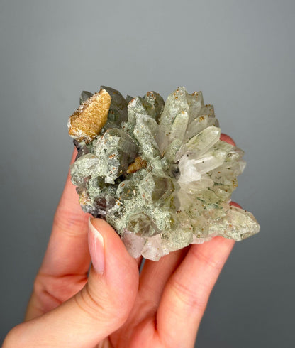 Quartz Cluster with Chlorite and Iridescent Dogtooth Points | Bulgaria Crystal for Clarity & Energy | Collector Mineral Specimen