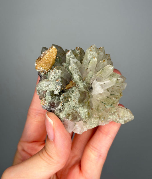 Quartz Cluster with Chlorite and Iridescent Dogtooth Points | Bulgaria Crystal for Clarity & Energy | Collector Mineral Specimen