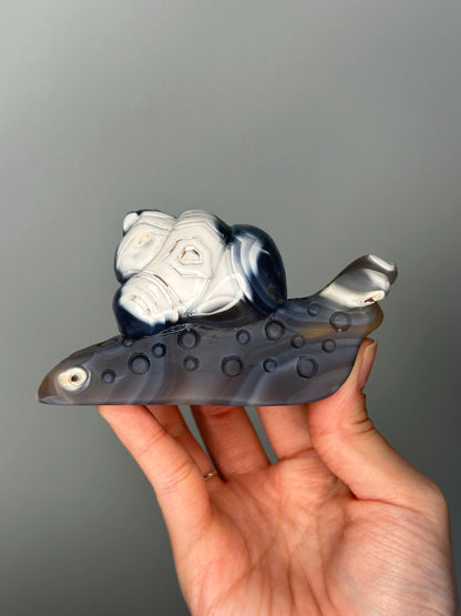 Orca Agate Snail Carving | Black & White Crystal Animal for Emotional Balance and Strength | Hand-Carved Gemstone for Gift or Decor