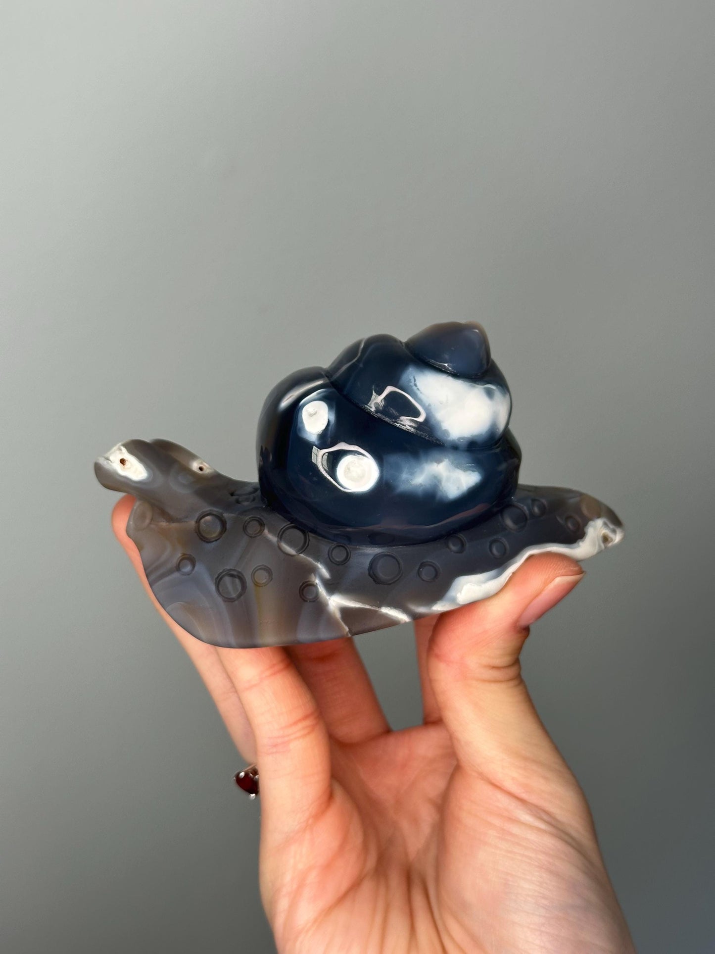 Orca Agate Snail Carving | Black & White Crystal Animal for Emotional Balance and Strength | Hand-Carved Gemstone for Gift or Decor
