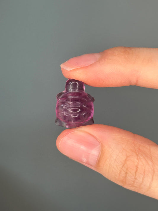 Mini Fluorite Turtle Carving