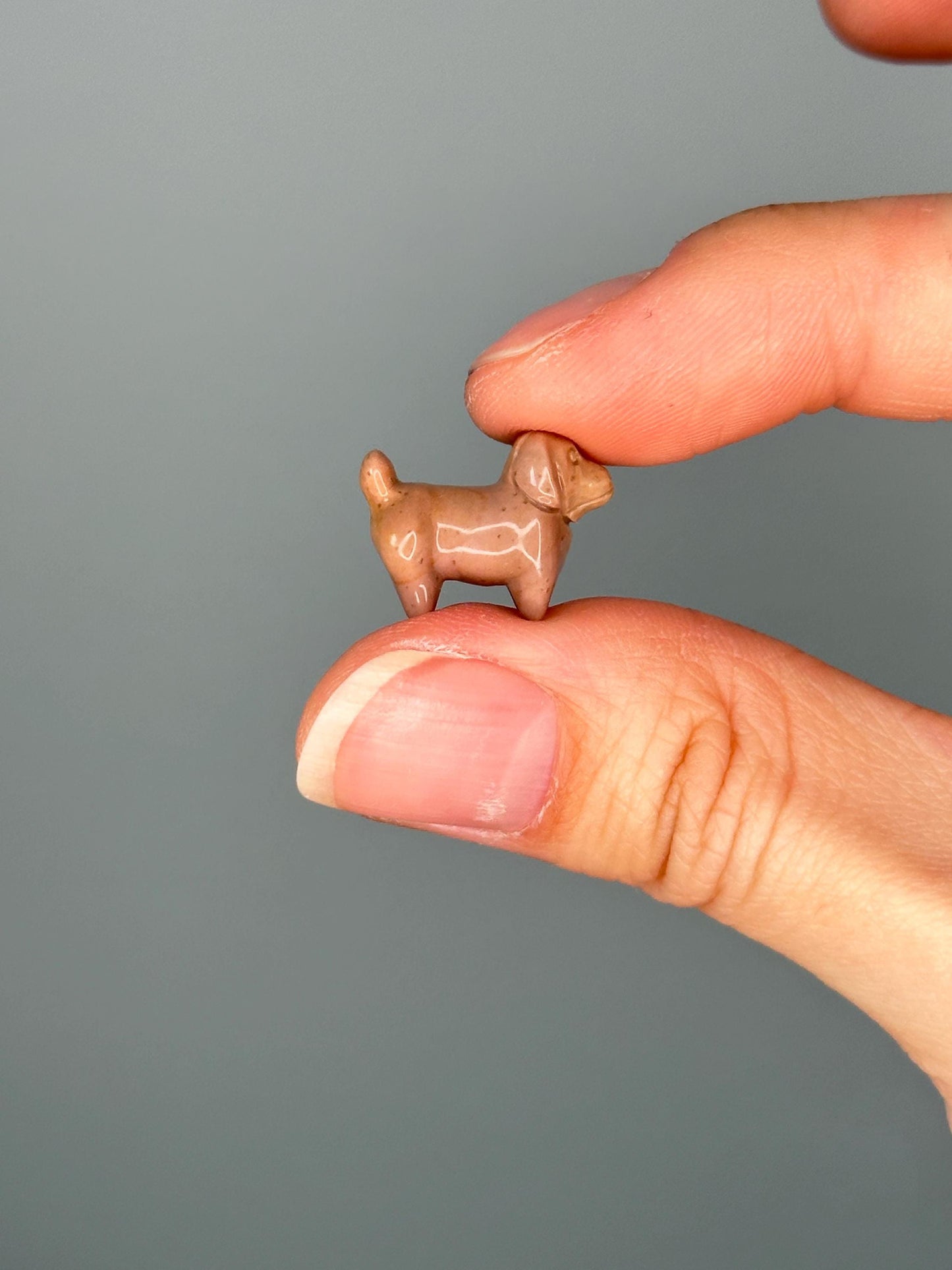 Mini Alashan Agate Dachshund Carving | Cute Crystal Dog Figurine for Loyalty, Calm & Gift Giving | Polished Gemstone Decor