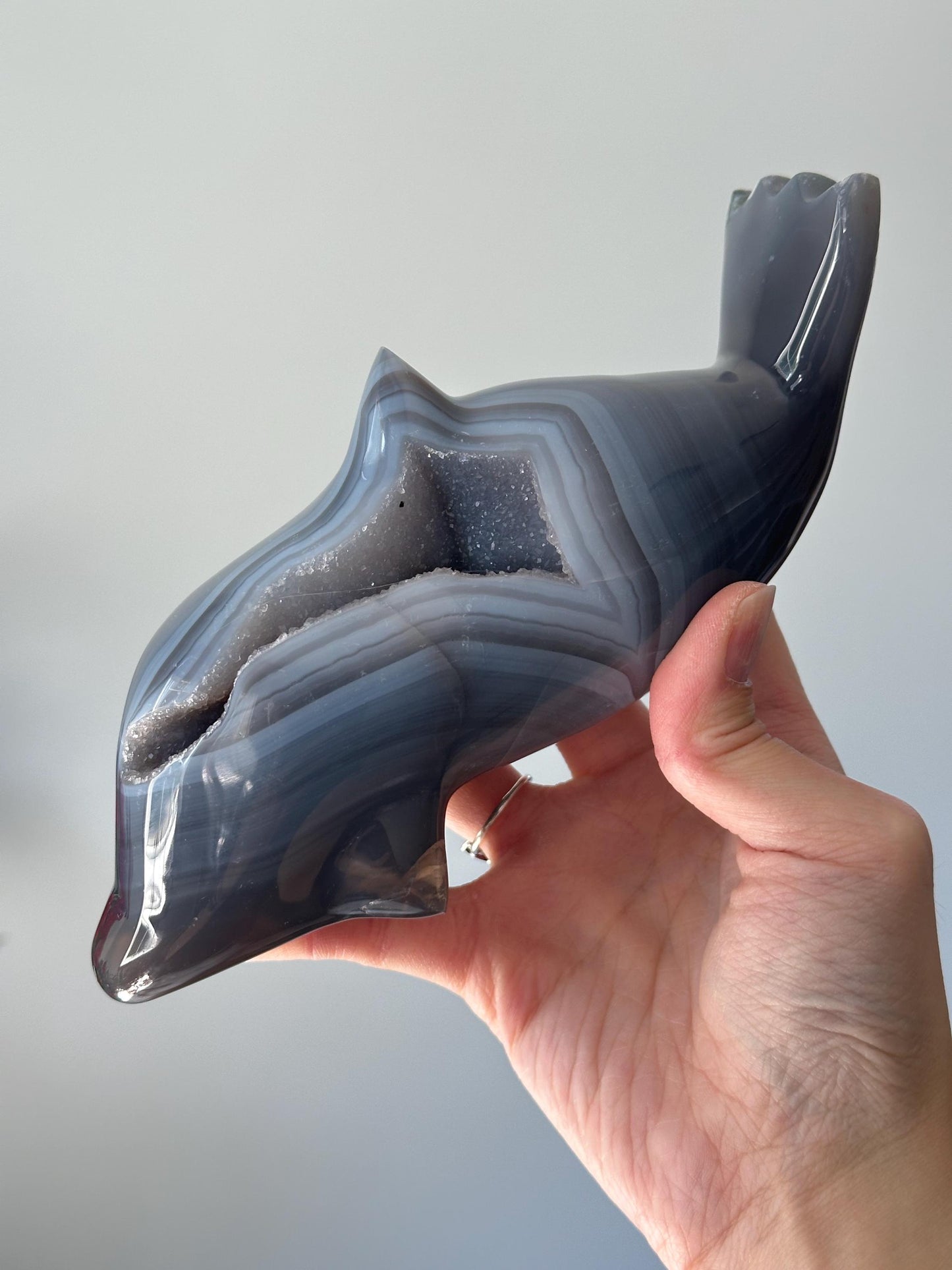 Druzy Agate Dolphin Carving | Sparkling Crystal for Emotional Balance & Joy | Polished Gemstone Animal for Gift or Display