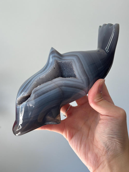 Druzy Agate Dolphin Carving | Sparkling Crystal for Emotional Balance & Joy | Polished Gemstone Animal for Gift or Display