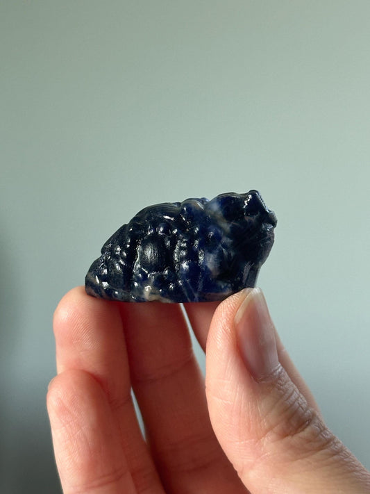 Sodalite Money Frog – Carved Crystal Wealth Toad, Natural Gemstone Figurine, Feng Shui Abundance Decor, Lucky Blue Sodalite Sculpture