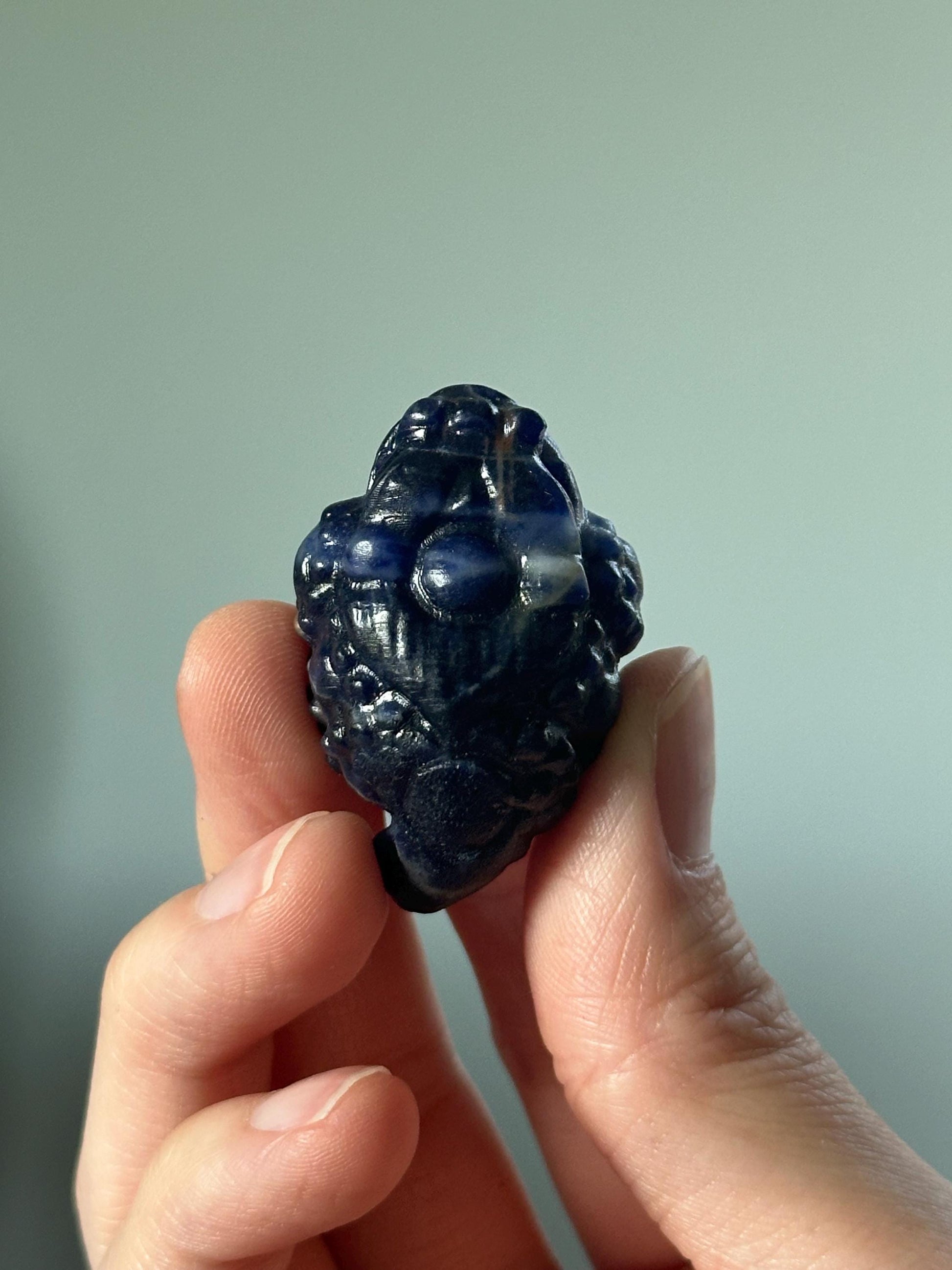 Sodalite Money Frog – Carved Crystal Wealth Toad, Natural Gemstone Figurine, Feng Shui Abundance Decor, Lucky Blue Sodalite Sculpture