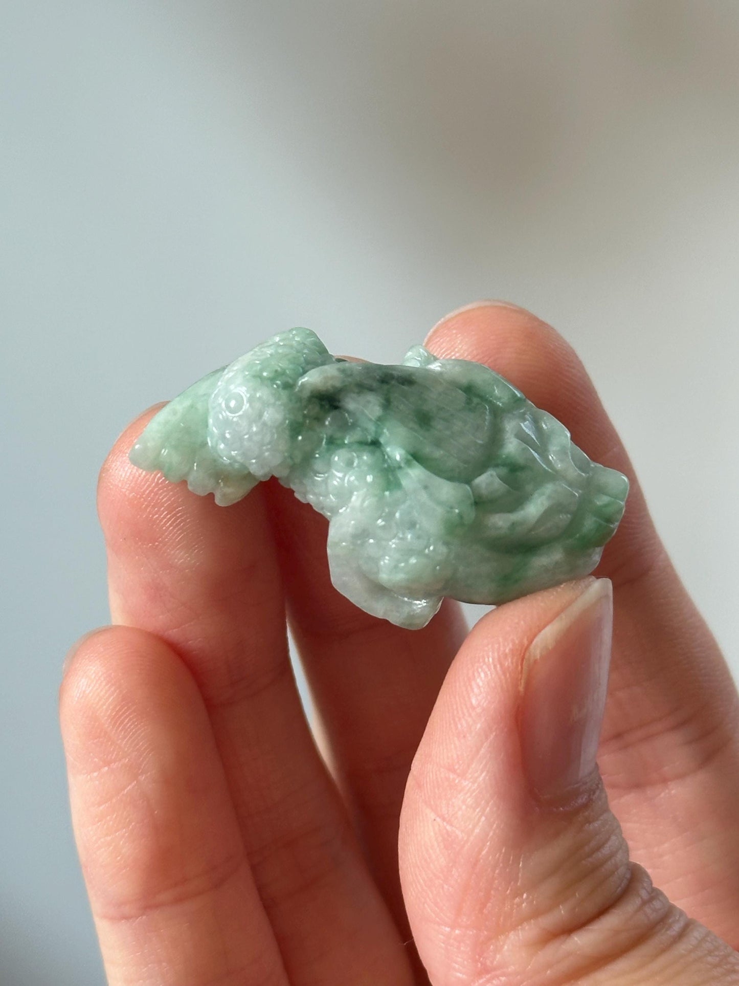 Green Jade Money Frog – YOU PICK! Feng Shui Wealth Toad, Carved Gemstone Prosperity Symbol, Lucky Decor, Abundance Statue for Home or Office