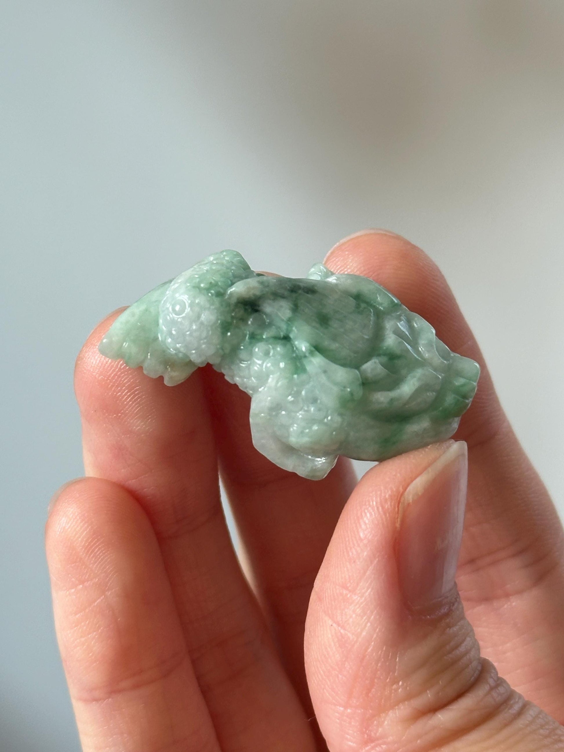 Green Jade Money Frog – YOU PICK! Feng Shui Wealth Toad, Carved Gemstone Prosperity Symbol, Lucky Decor, Abundance Statue for Home or Office