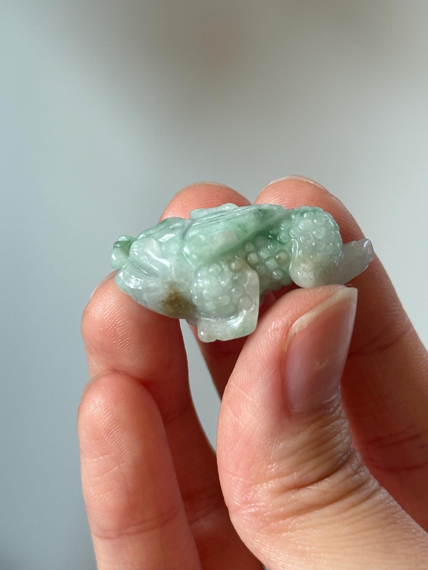Green Jade Money Frog – YOU PICK! Feng Shui Wealth Toad, Carved Gemstone Prosperity Symbol, Lucky Decor, Abundance Statue for Home or Office