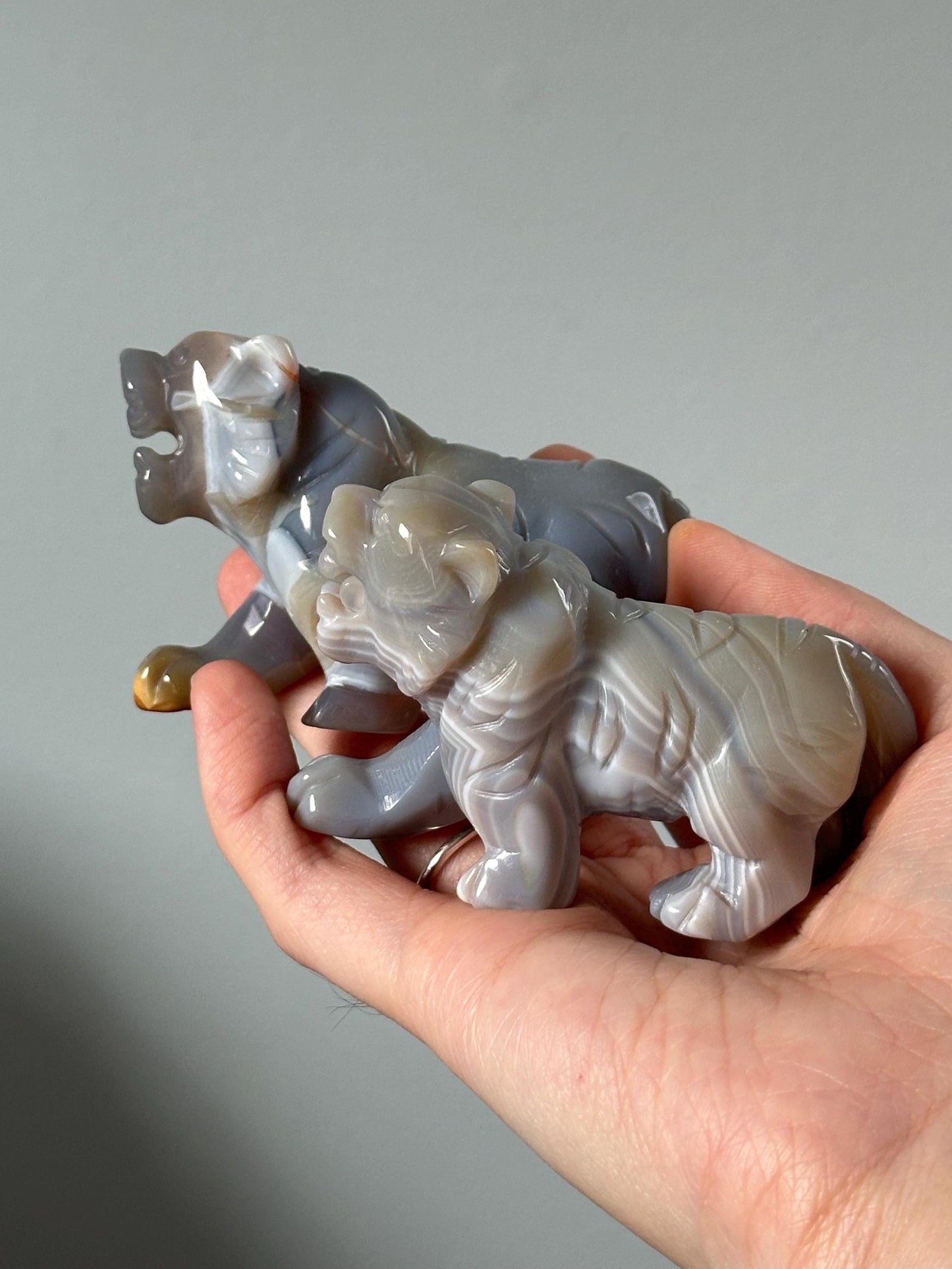 Banded Agate Tiger - YOU PICK!