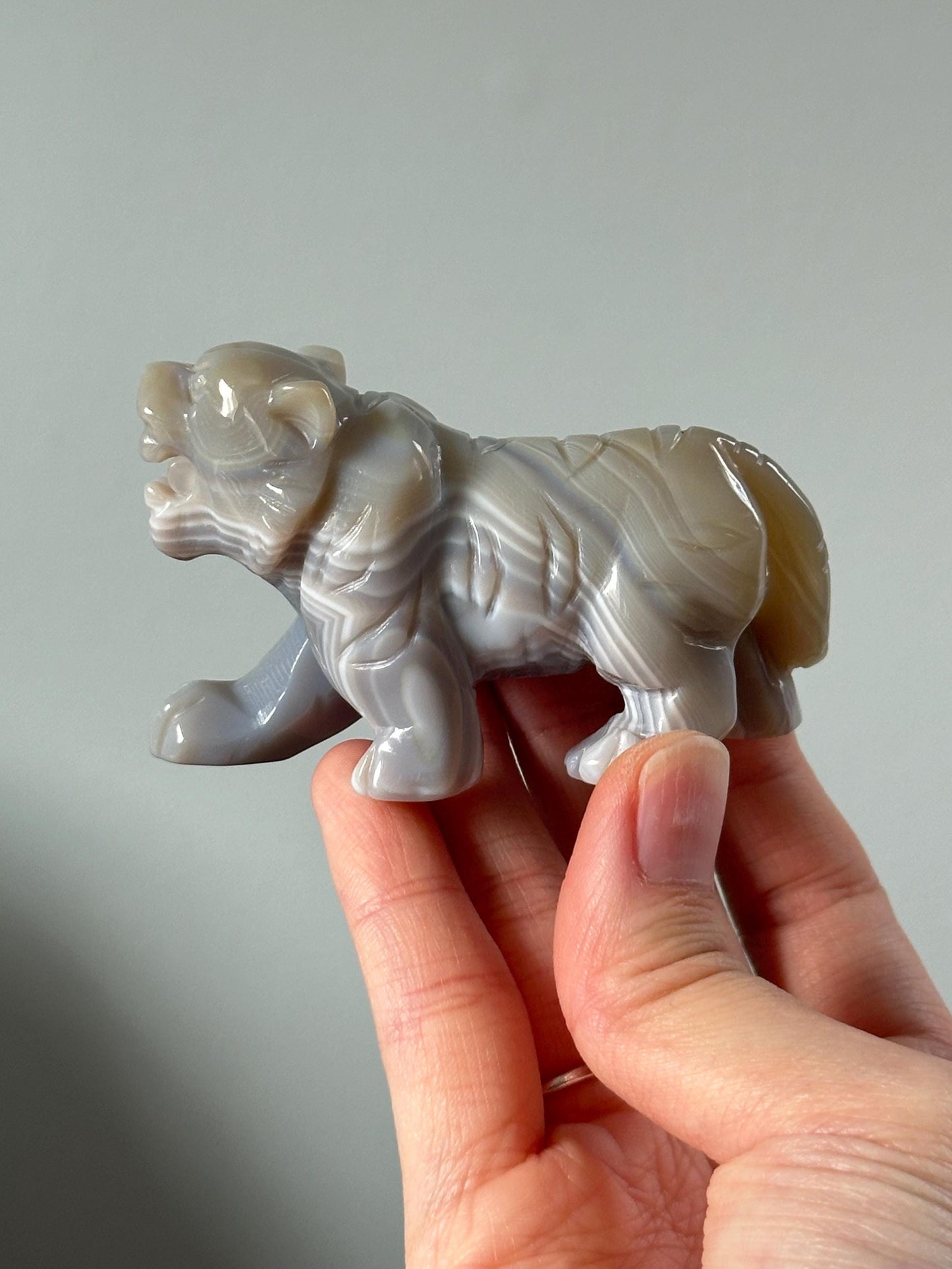 Banded Agate Tiger - YOU PICK!