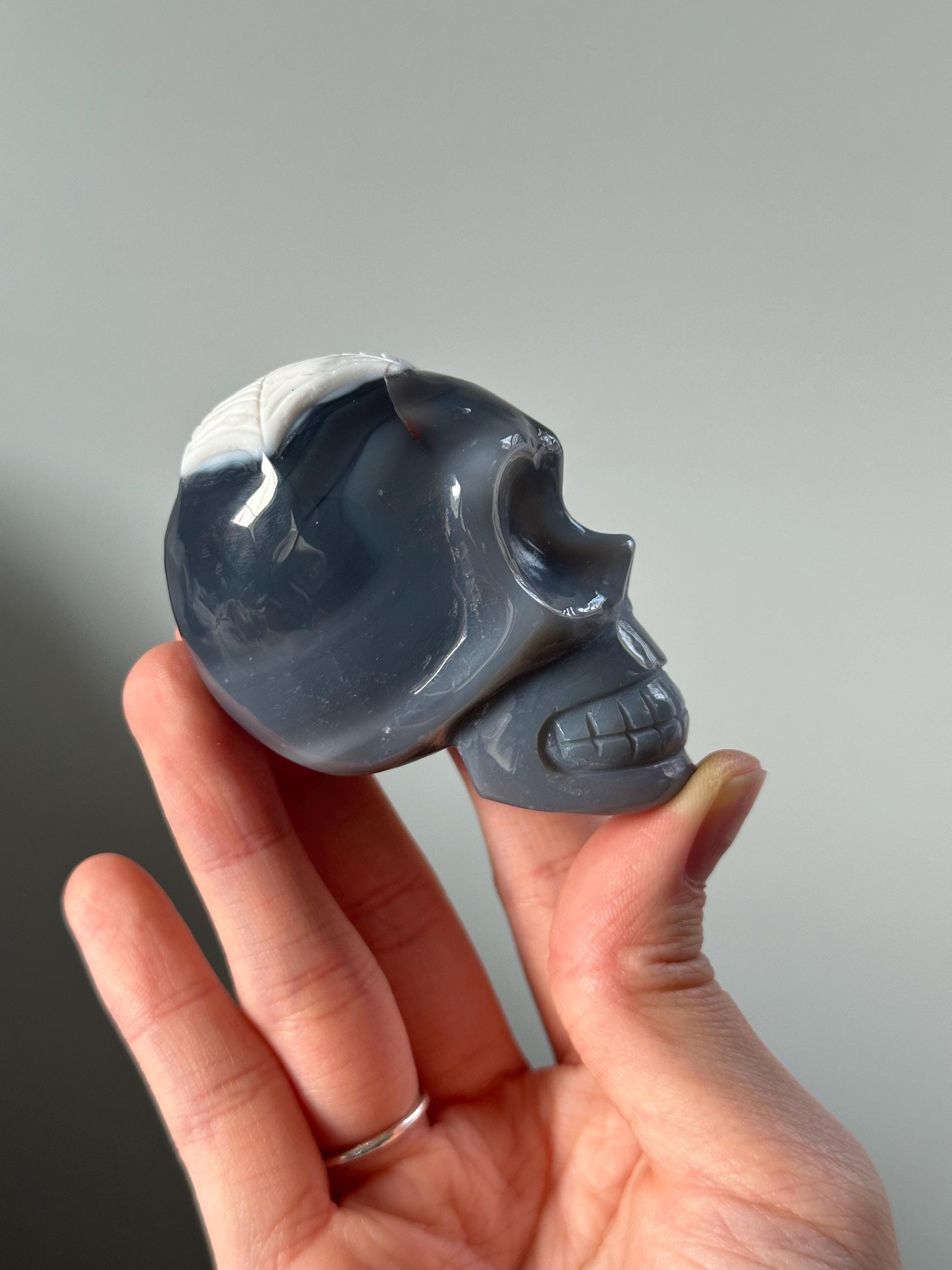 Halloween Orca Agate Skull – Carved Crystal with Spiderweb & Worm, Spooky Gemstone Decor, Unique Skull Sculpture, Creepy Crystal Gift