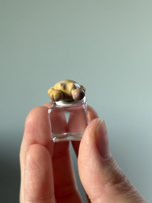 Mini Alashan Agate Crab – Carved Crystal Sea Creature, Gemstone Animal Figurine, Ocean Gift, Unique Pocket Crystal Decor, Zodiac Cancer Sign