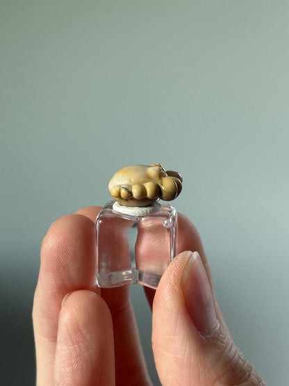 Mini Alashan Agate Crab – Carved Crystal Sea Creature, Gemstone Animal Figurine, Ocean Gift, Unique Pocket Crystal Decor, Zodiac Cancer Sign