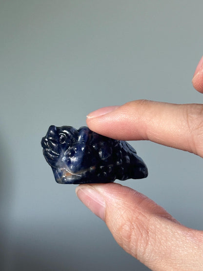 Sodalite Money Frog