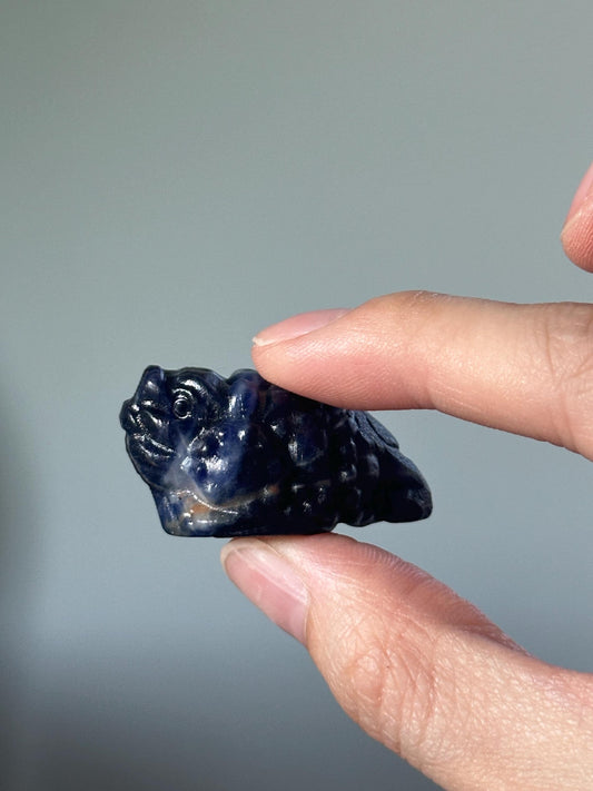 Sodalite Money Frog