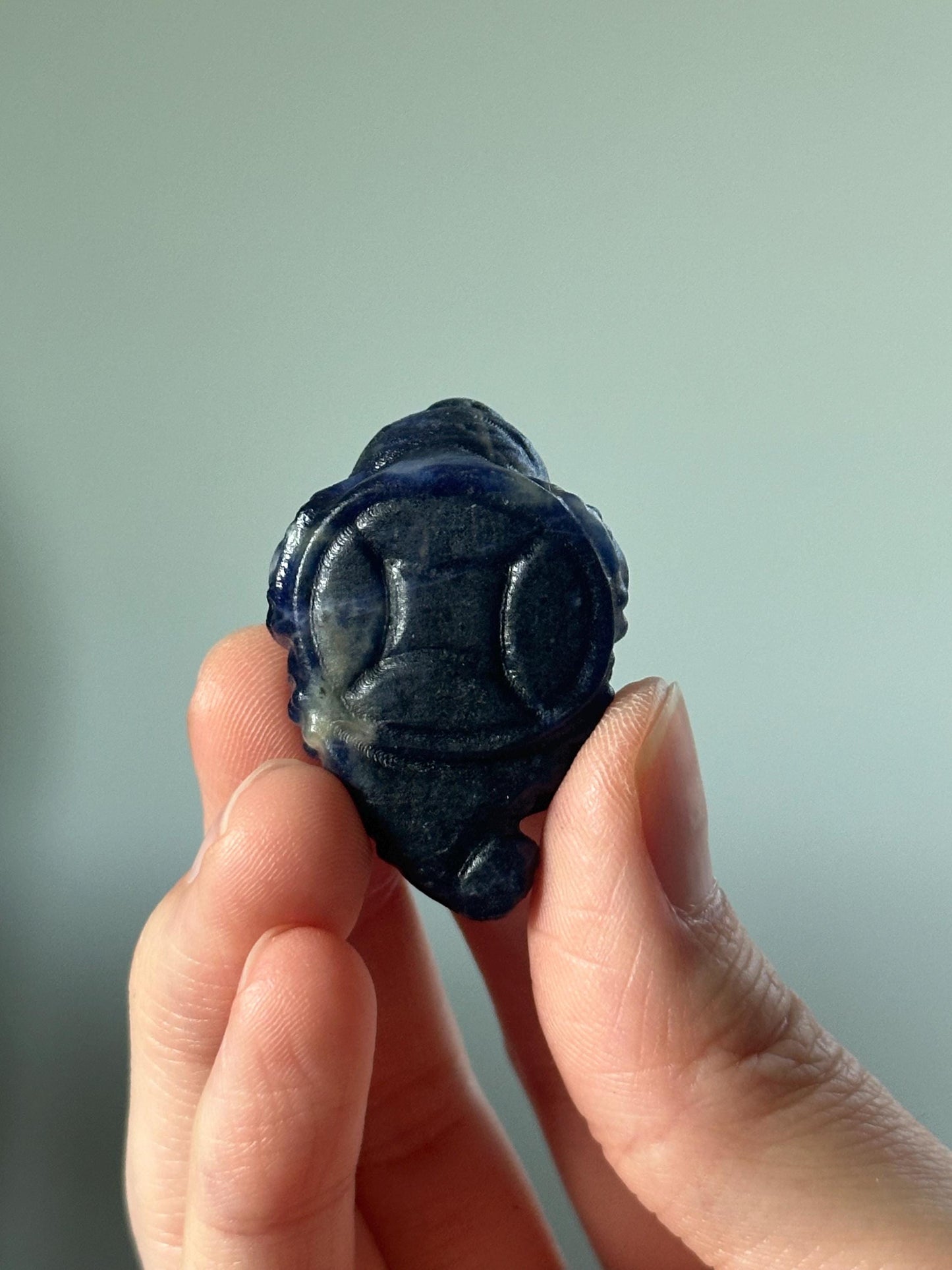 Sodalite Money Frog