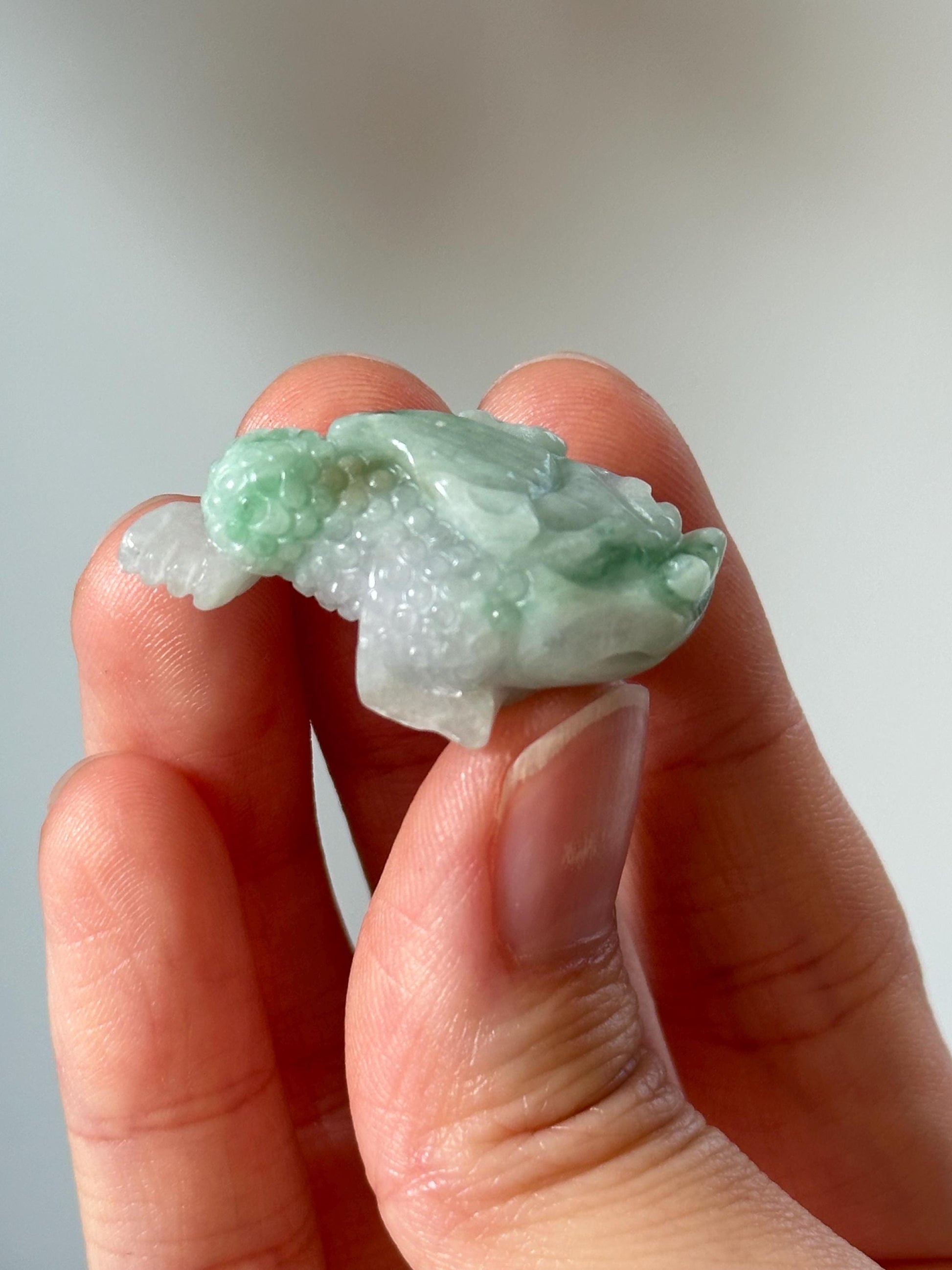 Green Jade Money Frog – YOU PICK! Feng Shui Wealth Toad, Carved Gemstone Prosperity Symbol, Lucky Decor, Abundance Statue for Home or Office