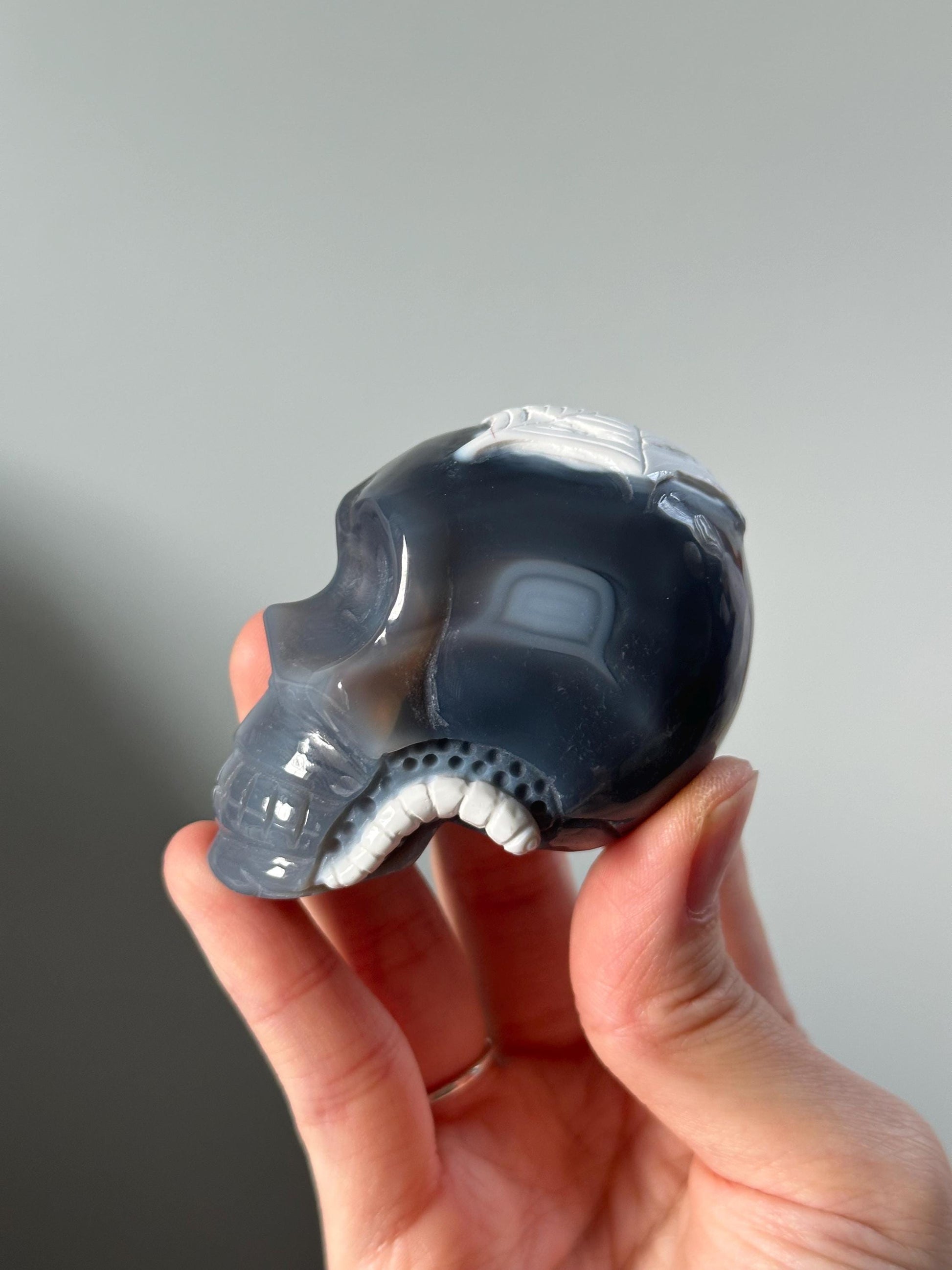 Halloween Orca Agate Skull – Carved Crystal with Spiderweb & Worm, Spooky Gemstone Decor, Unique Skull Sculpture, Creepy Crystal Gift