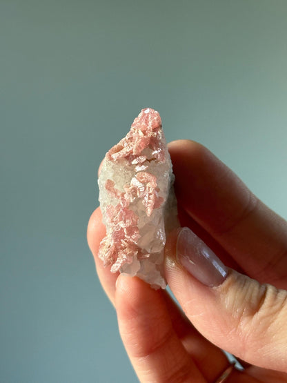Rhodochrosite Petals on Quartz – Rare Specimen from Wutong Mine China, Pink Crystal Petals on Quartz, Collector Mineral Display