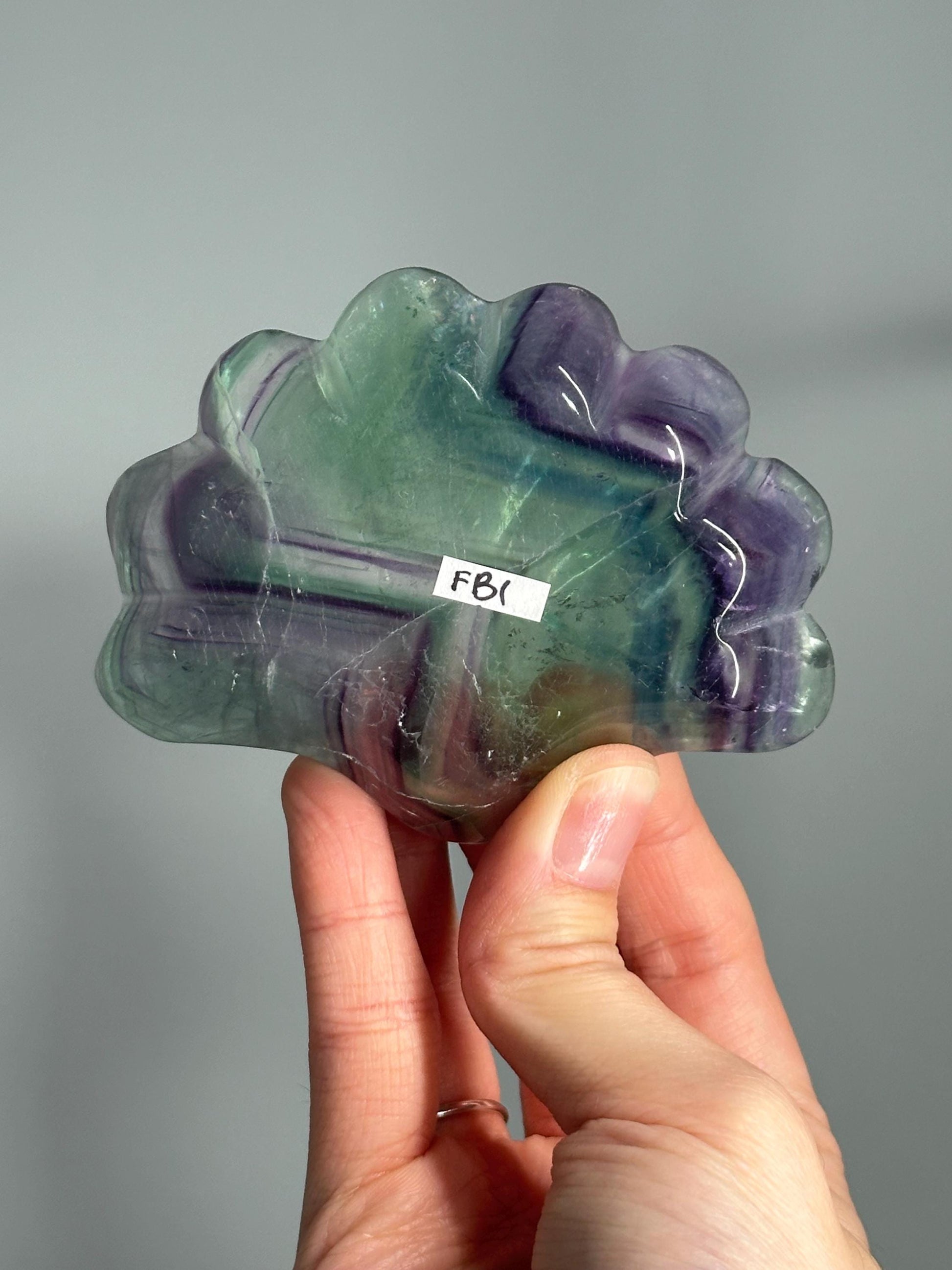 Fluorite Shell Bowl – Carved Natural Crystal Dish in Seashell Shape, Rainbow Fluorite for Display, Jewelry Holder, or Altar Offering Bowl