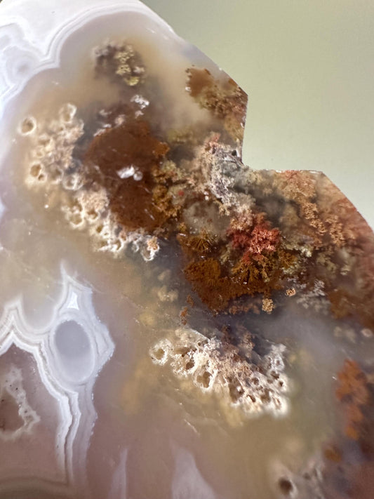 Scenic Moss Agate Butterfly