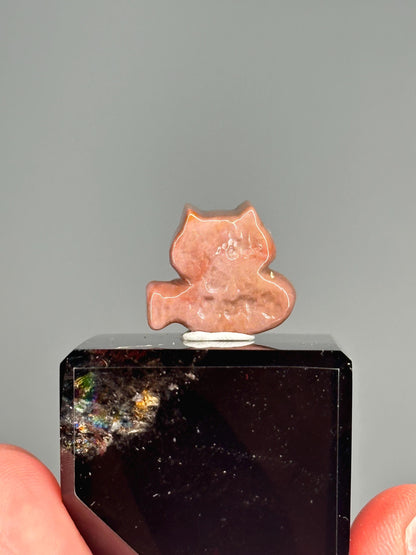 Mini Alashan Agate Cat with Fish – Carved Crystal Animal Figurine, Natural Gemstone Sculpture, Whimsical Decor, Unique Collector Display