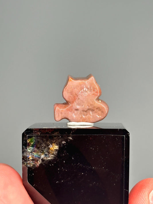 Mini Alashan Agate Cat with Fish – Carved Crystal Animal Figurine, Natural Gemstone Sculpture, Whimsical Decor, Unique Collector Display