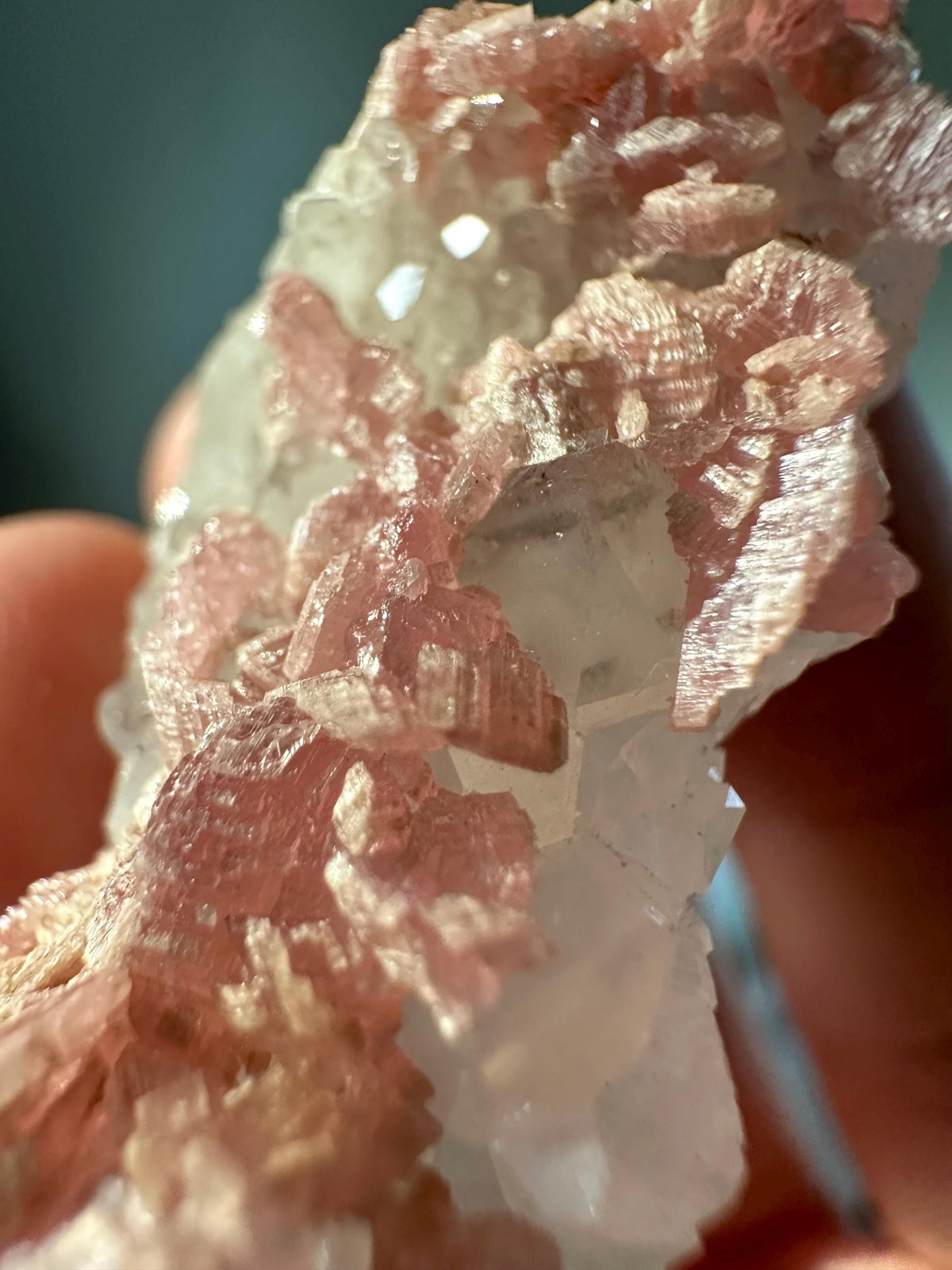 Rhodochrosite Petals on Quartz – Rare Specimen from Wutong Mine China, Pink Crystal Petals on Quartz, Collector Mineral Display