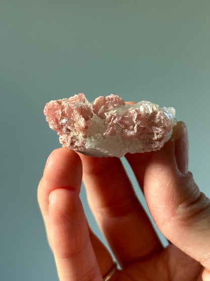 Rhodochrosite Petals on Quartz – Rare Specimen from Wutong Mine China, Pink Crystal Petals on Quartz, Collector Mineral Display
