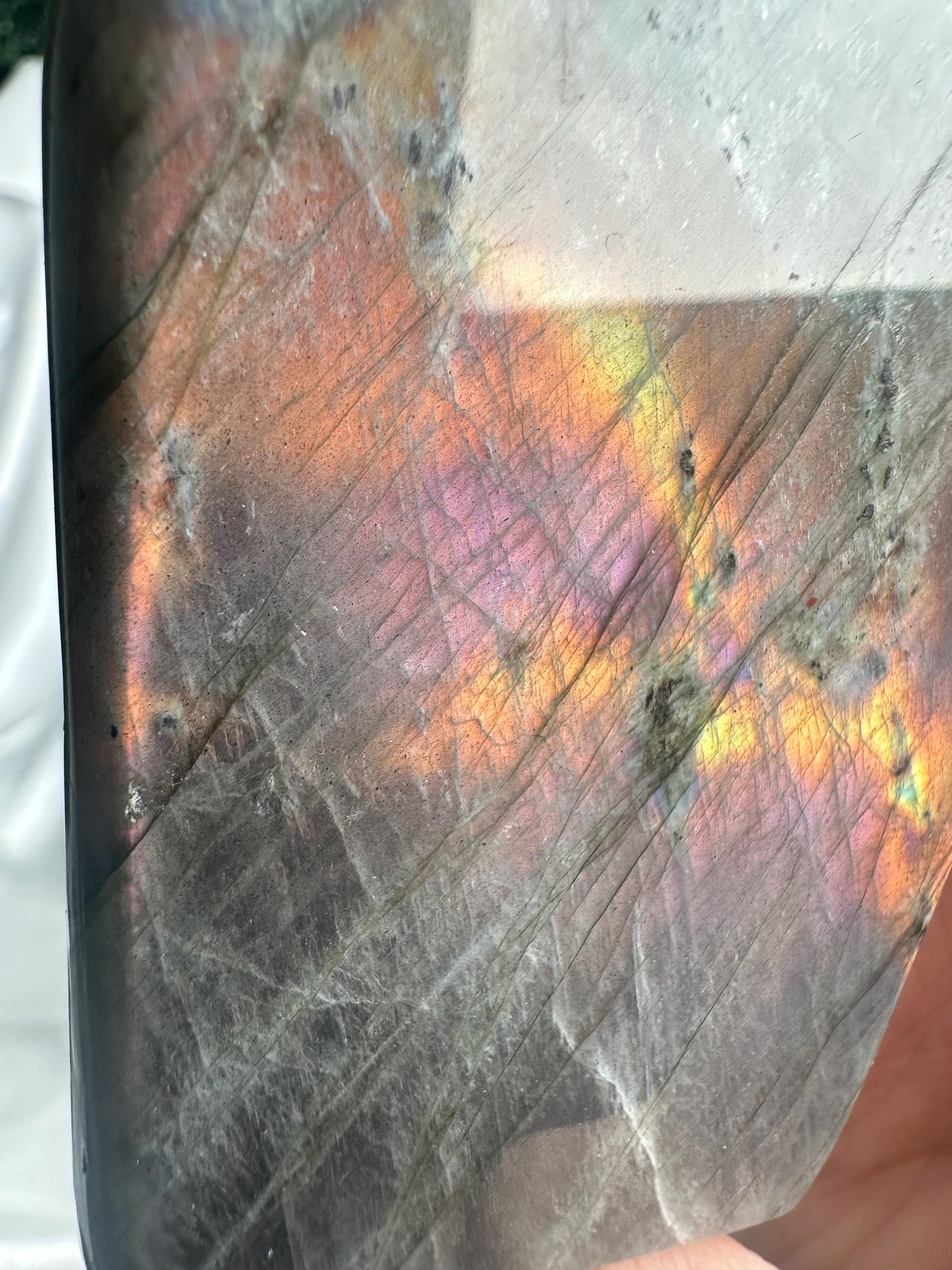 Labradorite Freeform | Natural Flashy Labradorite Carving | Polished Crystal Display Piece for Collectors & Home Decor