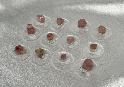 Gemmy Pink Apatite Specimen - YOU PICK! | Natural Pink Crystal with Bright Luster | Raw Mineral Specimen for Collectors, Display Collections