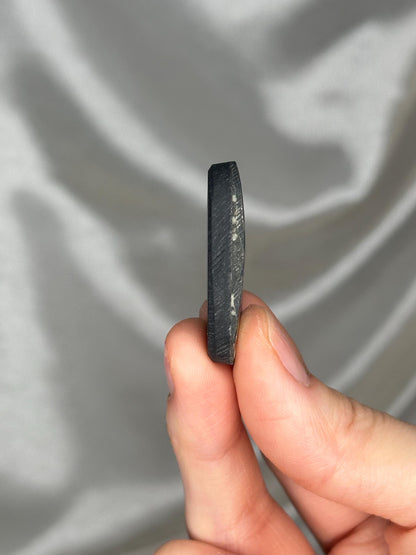 Abalone Shell Palmstone | Natural Polished Abalone Shell Stone | Smooth Hand Stone Mineral Specimen for Collectors & Display