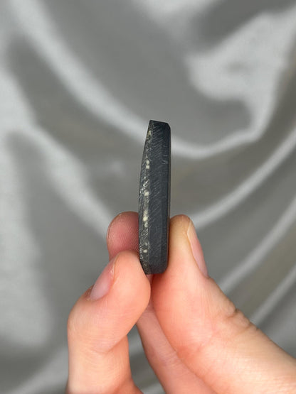 Abalone Shell Palmstone | Natural Polished Abalone Shell Stone | Smooth Hand Stone Mineral Specimen for Collectors & Display