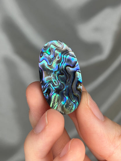 Abalone Shell Palmstone | Natural Polished Abalone Shell Stone | Smooth Hand Stone Mineral Specimen for Collectors & Display