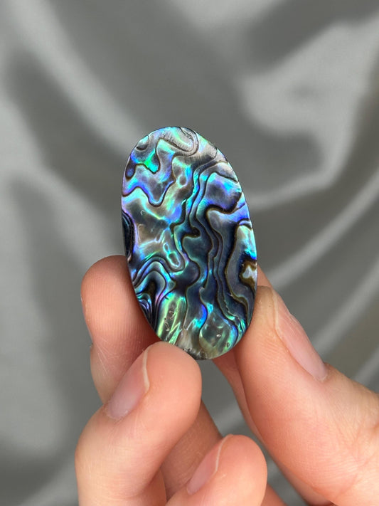 Abalone Shell Palmstone | Natural Polished Abalone Shell Stone | Smooth Hand Stone Mineral Specimen for Collectors & Display