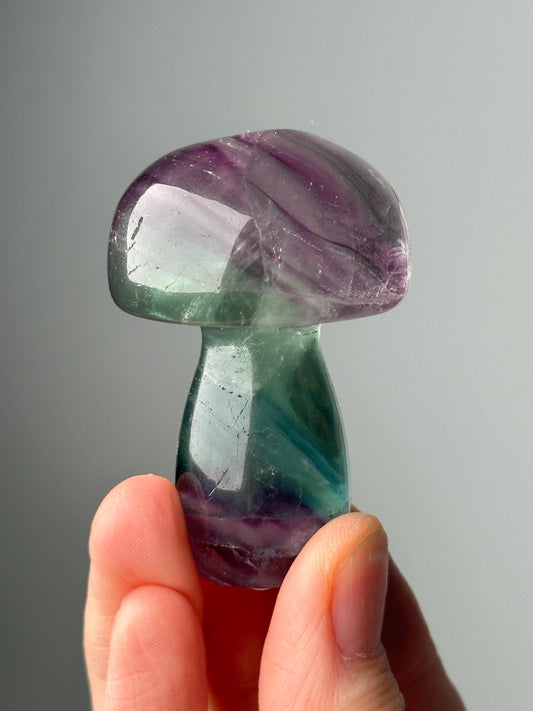 Fluorite Mushroom Carving - YOU PICK! | Natural Fluorite Crystal Mushroom Sculpture | Polished Stone Mushroom Mineral Specimen Display