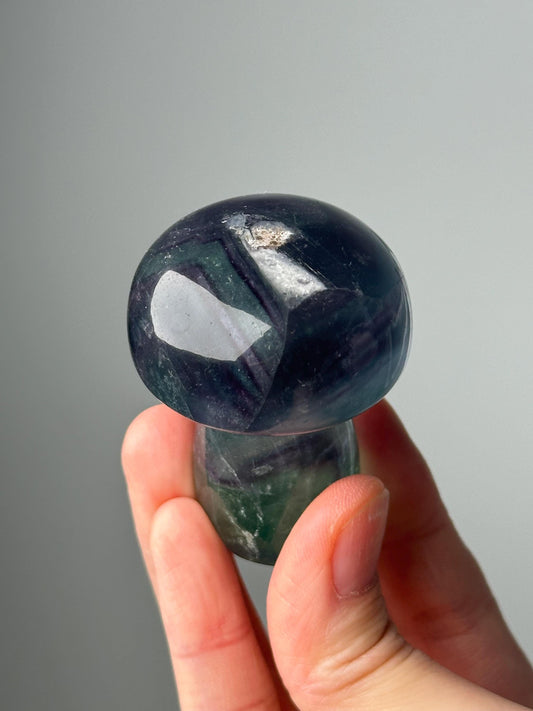 Fluorite Mushroom Carving - YOU PICK! | Natural Fluorite Crystal Mushroom Sculpture | Polished Stone Mushroom Mineral Specimen Display