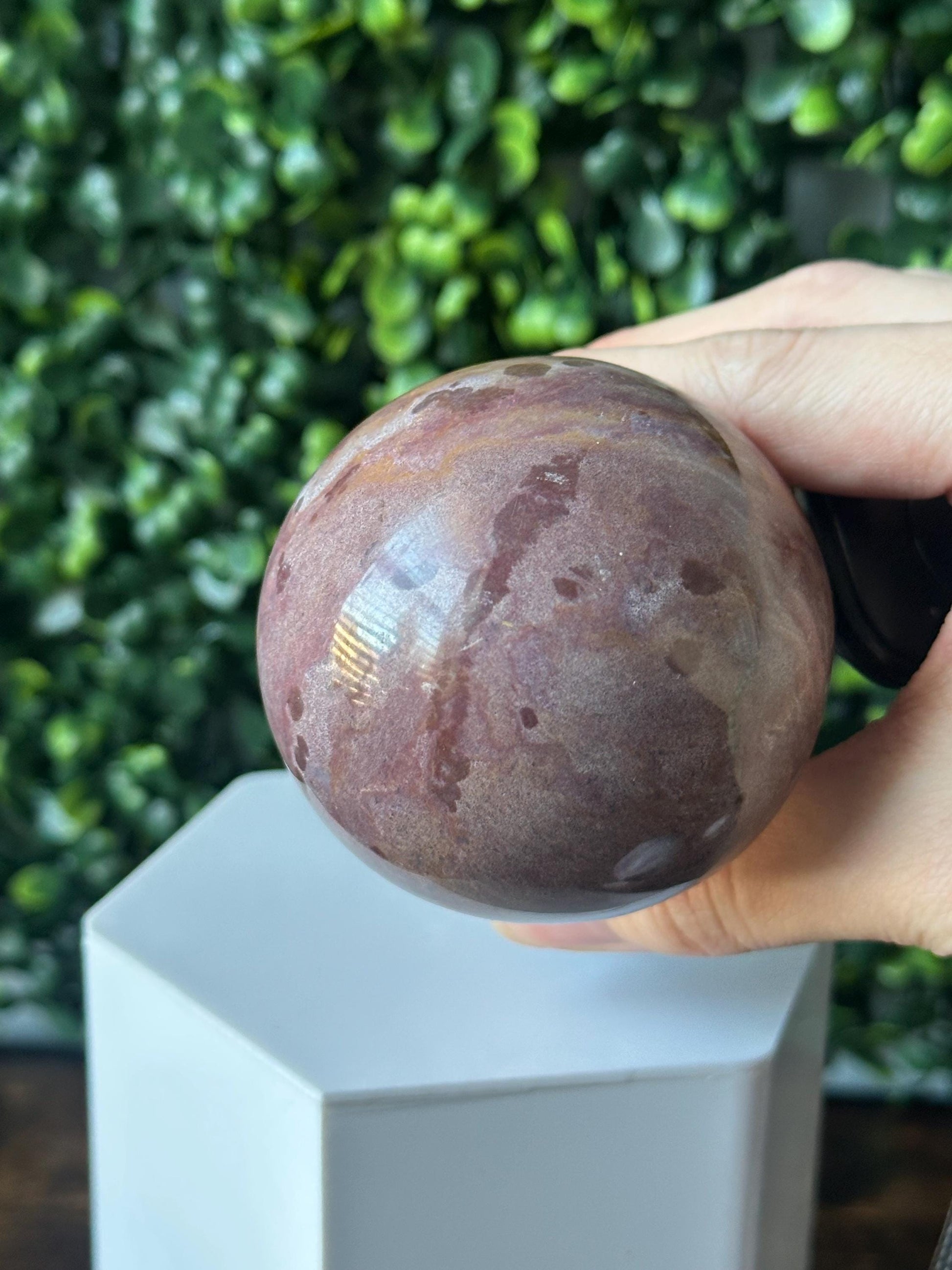 Sea Jasper Mushroom Carving | Natural Ocean Jasper Stone Sculpture | Polished Crystal Mushroom Mineral Specimen for Collectors Display Decor