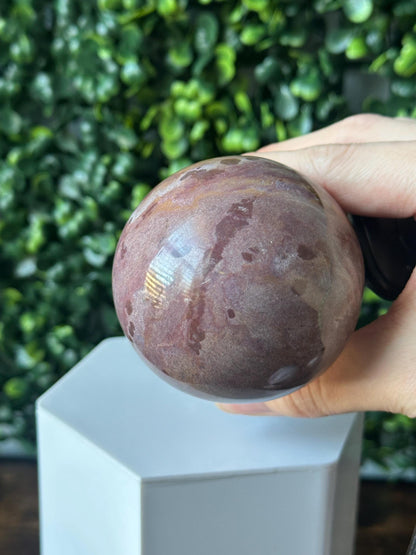 Sea Jasper Mushroom Carving | Natural Ocean Jasper Stone Sculpture | Polished Crystal Mushroom Mineral Specimen for Collectors Display Decor
