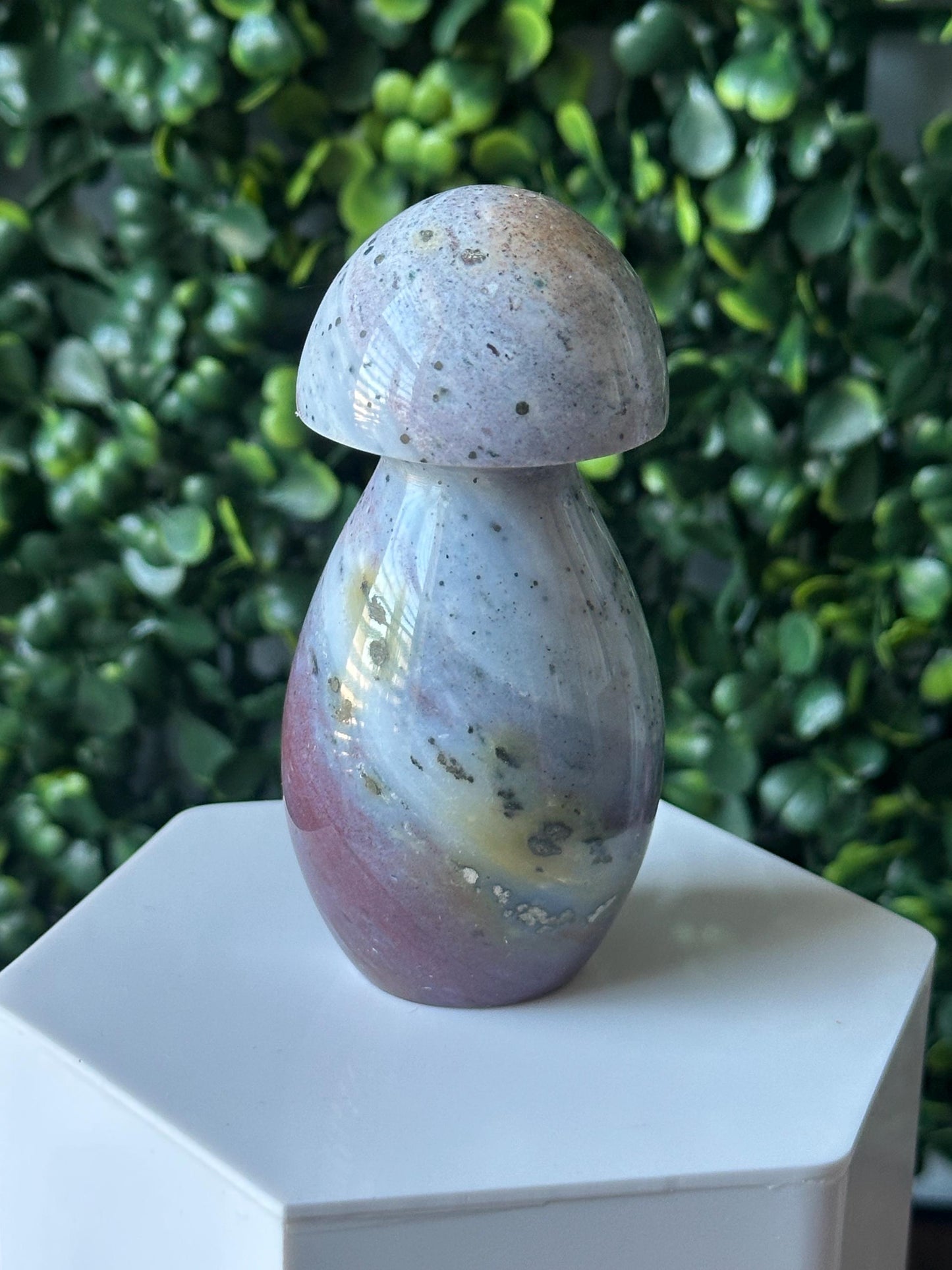 Sea Jasper Mushroom Carving | Natural Ocean Jasper Stone Sculpture | Polished Crystal Mushroom Mineral Specimen for Collectors Display Decor