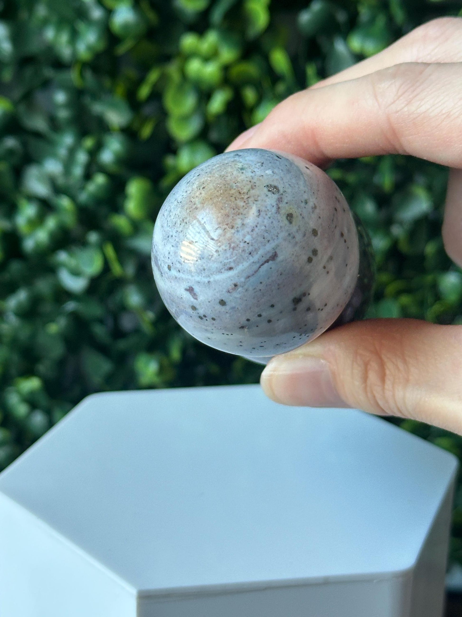 Sea Jasper Mushroom Carving | Natural Ocean Jasper Stone Sculpture | Polished Crystal Mushroom Mineral Specimen for Collectors Display Decor